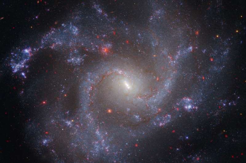 NGC 5468 — родительская галактика цефеид. Авторы и права: НАСА, ЕКА, CSA, STScI, А. Рисс (JHU/STScI) Телескопы Уэбба и Хаббла подтверждают скорость расширения Вселенной, но загадка остается